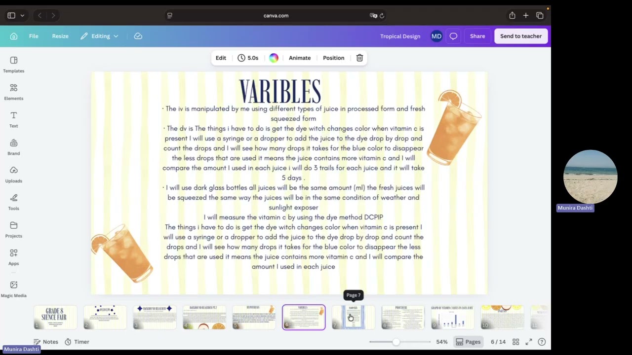 YouTube video player